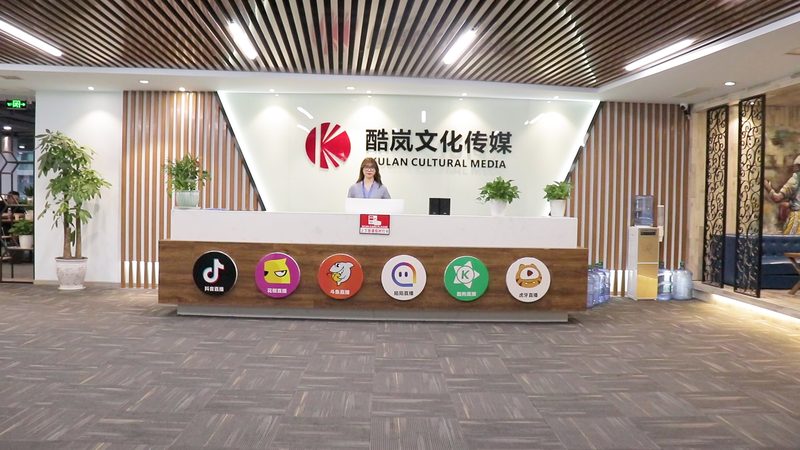 直播传媒公司运营模式解析：揭秘成功背后的秘诀